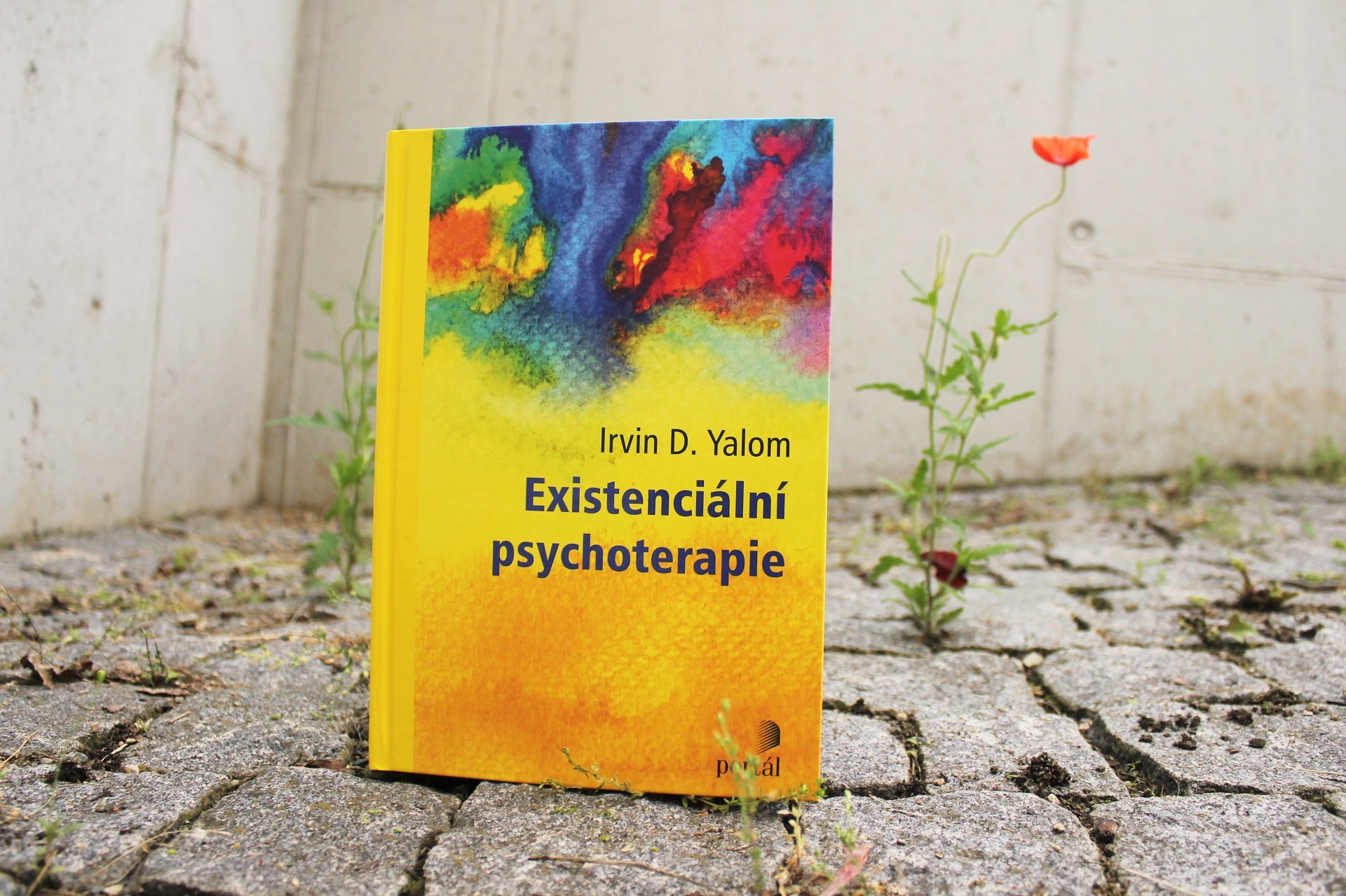Irvin D. Yalom Teorie a praxe skupinové psychoterapie psychiatrie psychologie Existenciální psychoterapie