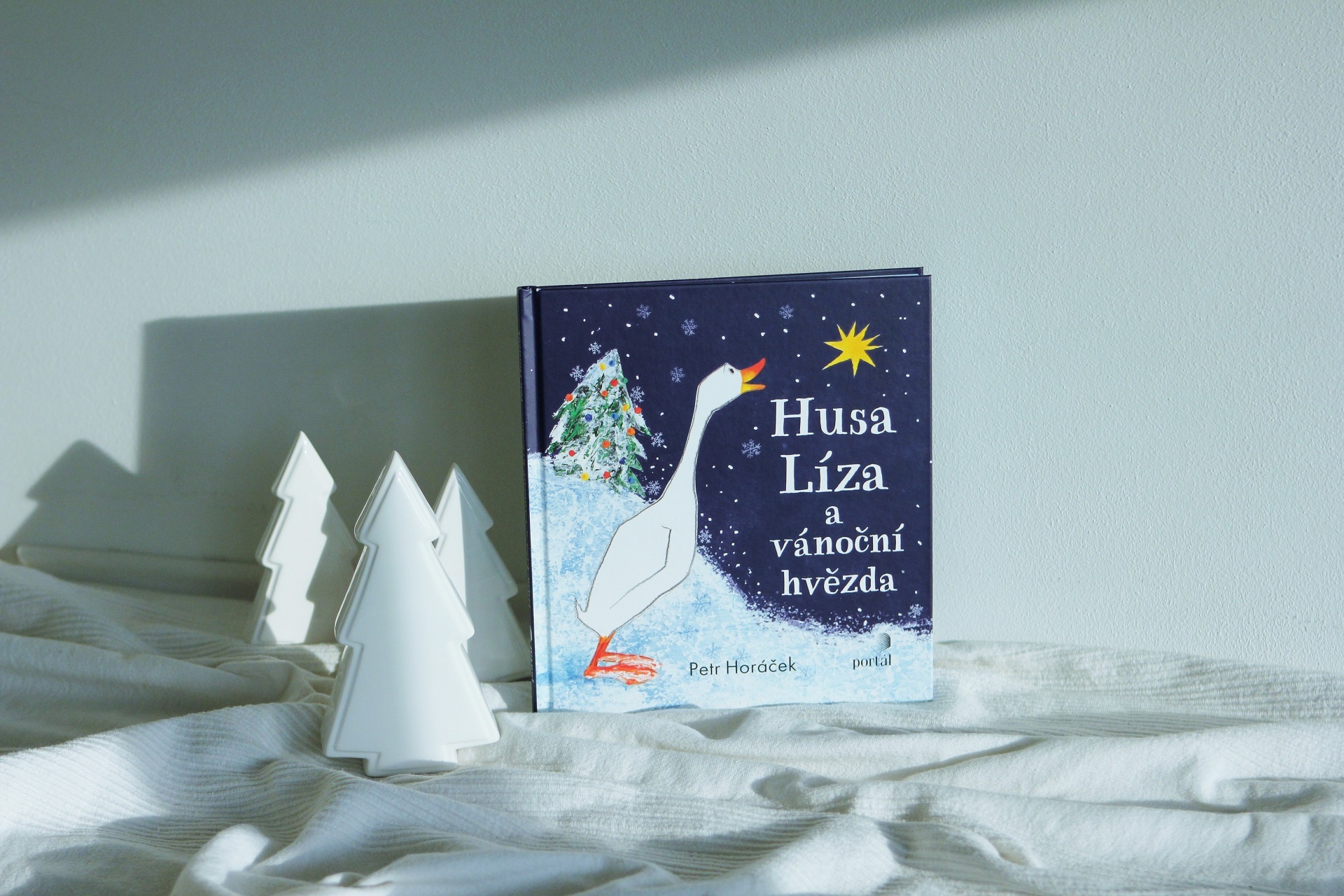 Petr Horáček, Husa Líza a vánoční hvězda, ilustrovaná knížka pro děti, tip na dárek pro děti