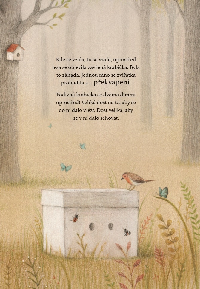Krabička, Isabella Paglia, Paolo Proietti; La scatola, Jan Ctibor, ilustrovaná knížka, dětská knížka, knížka o zvířátkách