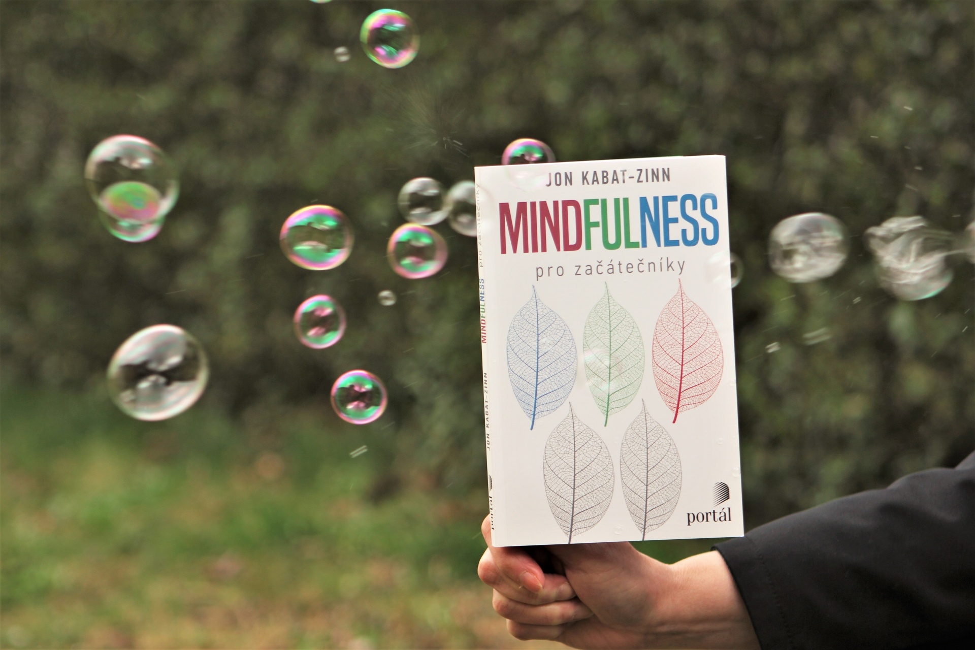 mindfulness všímavost pro začátečníky kabat-zinn psychologie seberozvoj